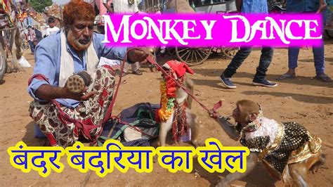 बंदर बंदरिया का खेल Funny Monkey Dance Video Bandar Bandariya Ka