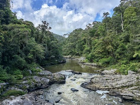 Ranomafana National Park Madagascar Going Up The Country