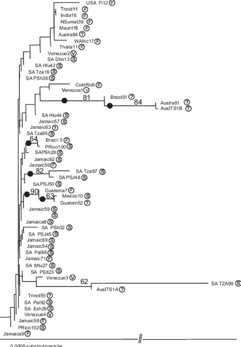 The Neighbor Joining Tree Derived From A Jukes Cantor Distance Matrix