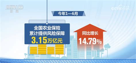 金融持续加大对民生和“三农”等领域支持 更好支持扩大消费新闻频道央视网