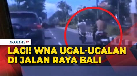 Viral Sejumlah Wna Naik Motor Ugal Ugalan Di Jalan Raya Polda Bali