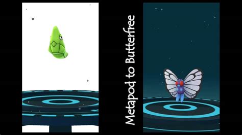 Evolve Caterpie To Metapod To Butterfree Youtube