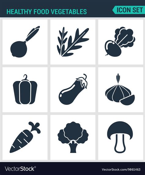 Set Of Modern Icons Healthy Food Royalty Free Vector Image