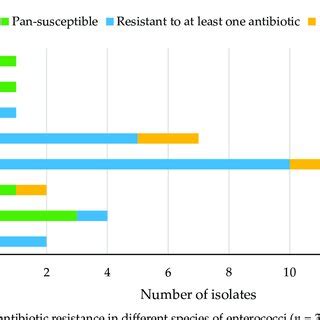 Levels of antibiotic resistance in different species of enterococci (n ...