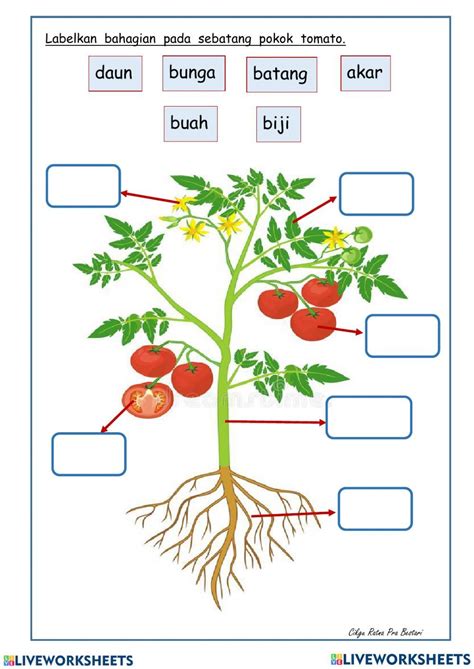 Latihan Soal Ipa Ilmu Pengetahuan Alam Ipa Worksheet Worksheets