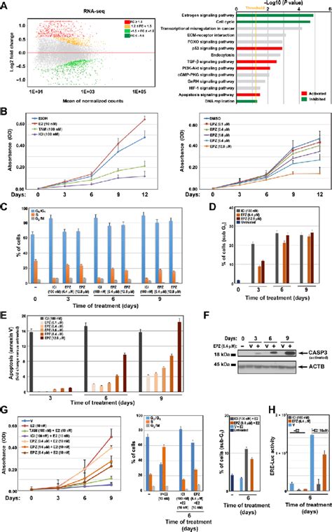 Pharmacological Inhibition Of Dot L Affects Gene Expression And Key