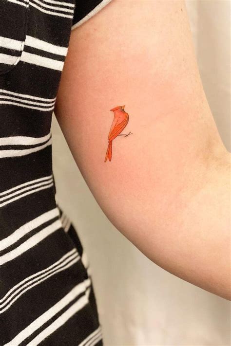 12 Best Small Cardinal Tattoo Ideas Artofit