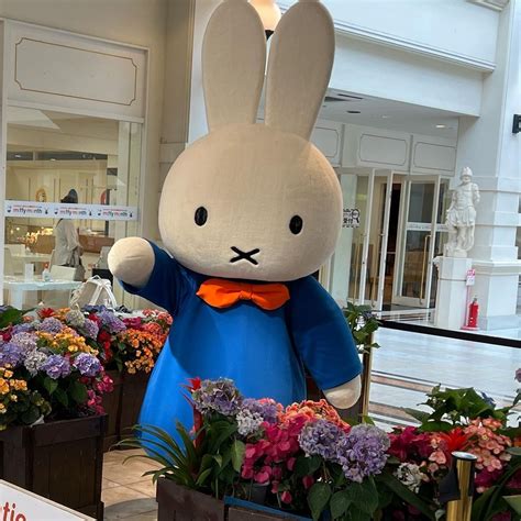 Miffy On Twitter Happy Birthday To Miffy 🎈 Today Is A Day Filled