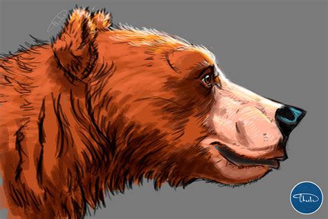 Bear Profile Drawing