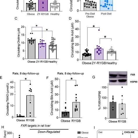 Circulating TMAO Levels Increase After Bariatric Surgery In Patients