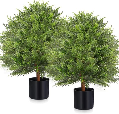 Amazon Silk Tree Warehouse Company Inc One 2 Foot Outdoor