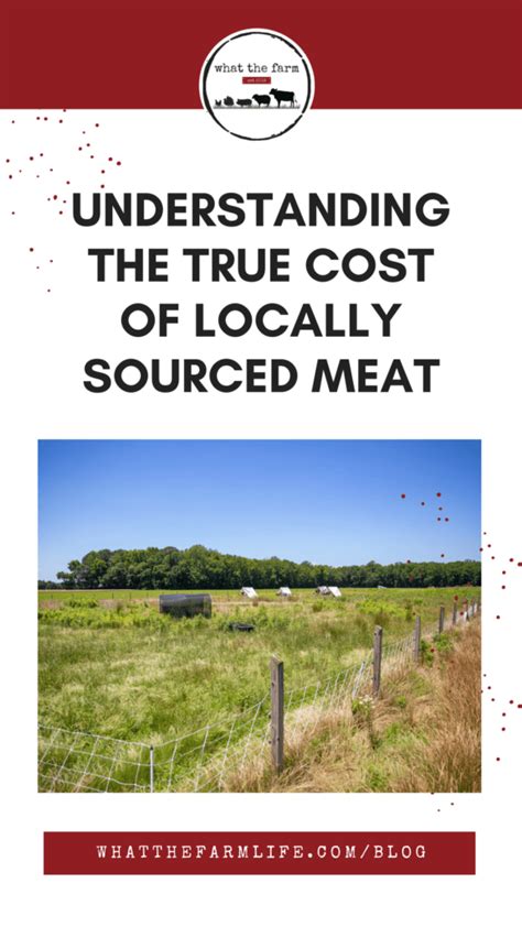 Understanding The True Cost Of Locally Sourced Meat What The Farm