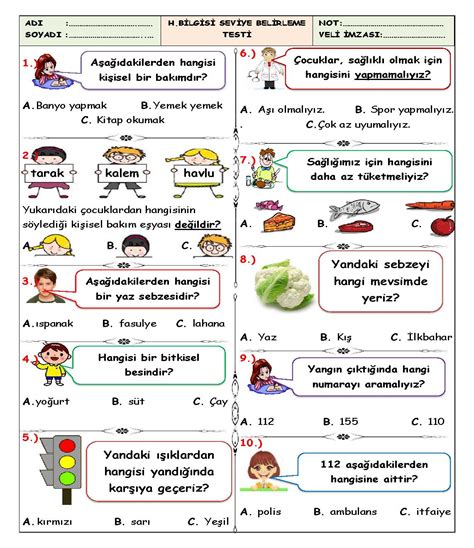 S N F Hayat Bilgisi Seviye Belirleme Testi Maviokul