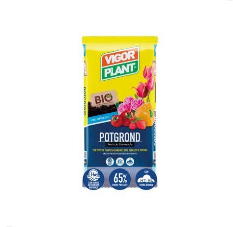 Terriccio Vigorplant Pot Grond Cascone Piante