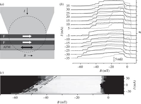 Figure 1 From Antiferromagnetic Metal Spintronics Semantic Scholar