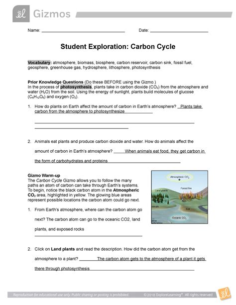 The Carbon Cycle Activity Worksheets