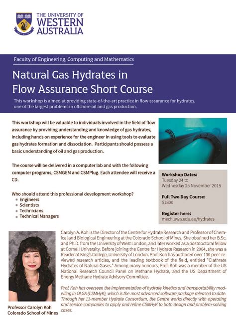 Natural Gas Hydrates in Flow Assurance Short Course :: SPE WA