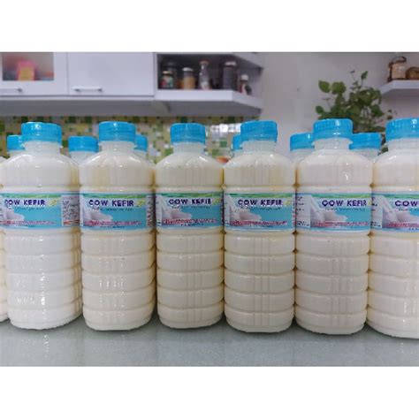 Jual Kefir Susu Sapi 500ml Shopee Indonesia