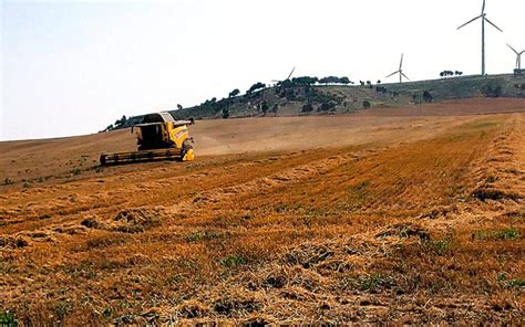 Agroseguro Con El Visto Bueno De Enesa Quiere Incrementar Un 30 De