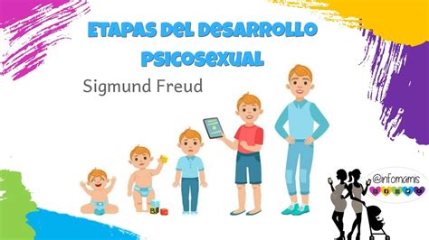 Image Result For Las 5 Etapas Del Desarrollo Psicosexual Etapas Del