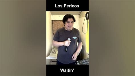 Los Pericos Waitin Live Cover Viralshort Cover Youtube