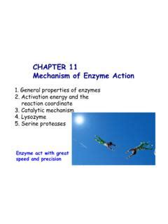 Chapter Mechanism Of Enzyme Action Chapter Mechanism Of Enzyme