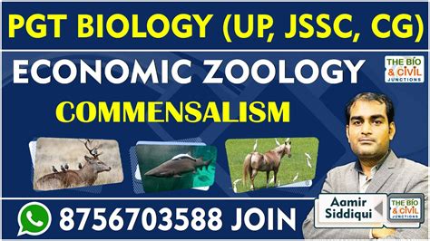 Up Jssc Cg Pgt Lt Biology Economic Geology Aamir Siddiqui