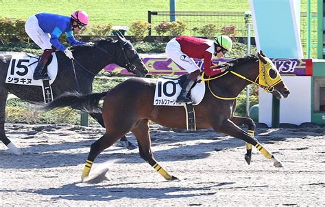 【東京6r・2歳新馬】マクフィ産駒のヴァルツァーシャルが直線外から差してデビューv スポーツ報知