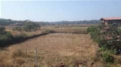 Residential Plots Land For Sale In Dapoli Ratnagiri