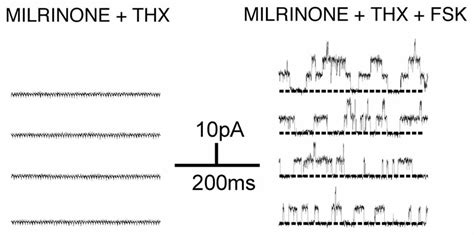 Phosphodiesterase Pde Inhibition By Milrinone Reverses The Effect Of