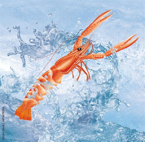 langoustine vague goutte frais pêche congelé mer animal blanc