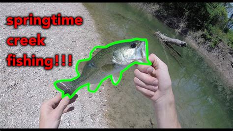 Catching The White Bass Run In The Spring Time Youtube