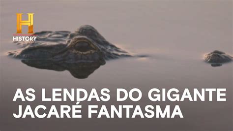 As Lendas Do Gigante Jacar Fantasma Mergulhados No P Ntano History