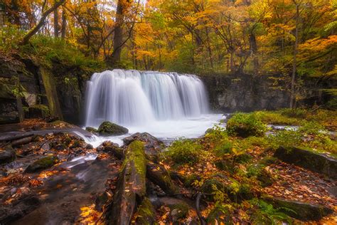 Fotos Natur Herbst Wasserfall Wälder Laubmoose