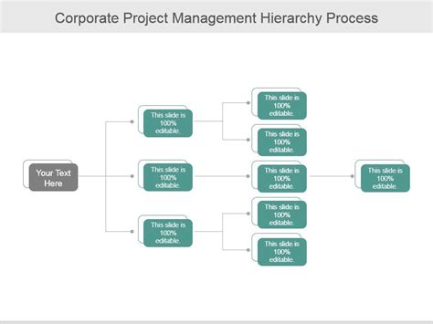 Corporate Project Management Hierarchy Process | PowerPoint Slide ...