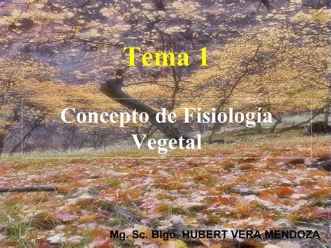 Introduccion A La Fisiologia Vegetal PPT