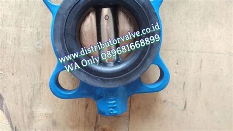 Jual Butterfly Valve Cast Iron Body Lever Disc Ss304 6 Inch Tozen Di Lapak Distributor Valve