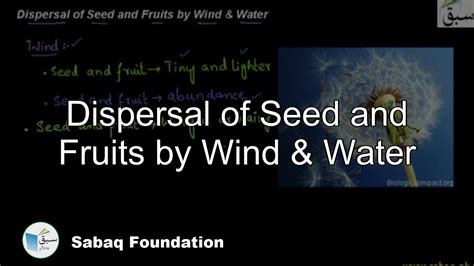 Dispersal Of Seed And Fruits By Wind And Water Biology Lecture Sabaq Pk Youtube