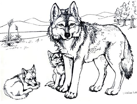 Lobos Desenhos Para Colorir