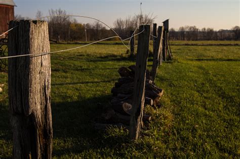 Old Electric Fence 5 Stock Photo Download Image Now Agricultural