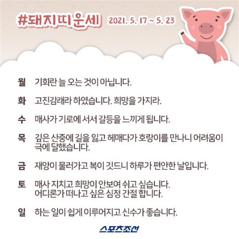 카드뉴스 5월 셋째주 주간 띠별 운세 네이트 뉴스