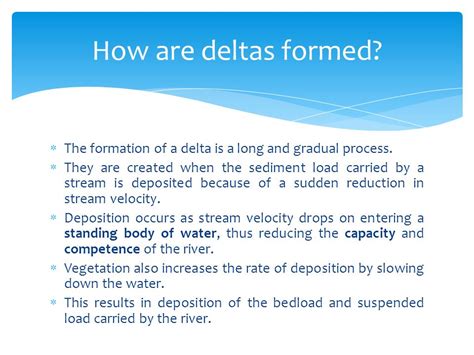 River Delta Formation