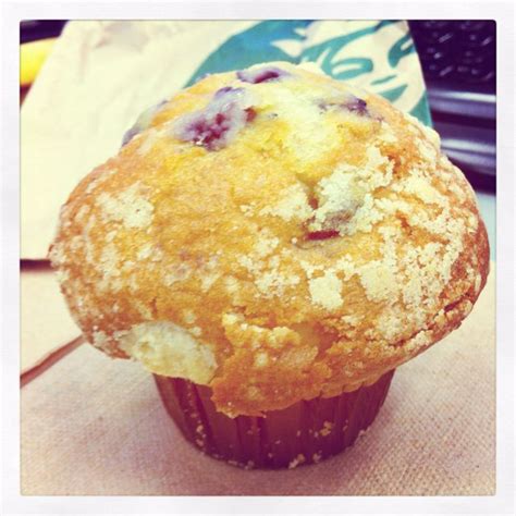 Blueberry Muffin From Starbucks Coffee Food Blue Berry Muffins