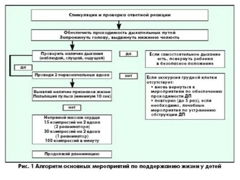 Особенности СЛР у детей - online presentation
