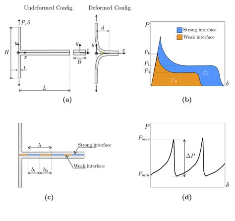 A Schematics Of The Undeformed And Deformed Configurations Of Download Scientific Diagram