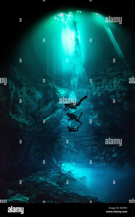 Cenote Diving Pit Cenote Tulum Quintana Roo Mexico Stock Photo Alamy