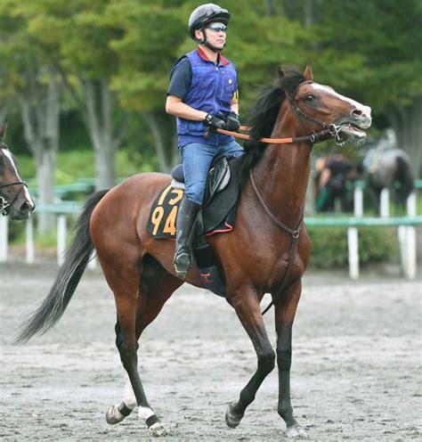 【セントライト記念】ローシャムパーク 心身成長 田中博師「強さが出てきた」 競馬ニュース Netkeiba