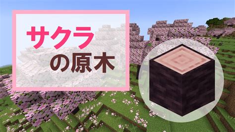 【マイクラ】サクラの原木の特徴・入手方法・使い道を紹介 Mineblog