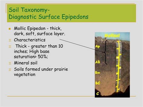 Ppt Lecture 5a Soil Taxonomy Powerpoint Presentation Free Download