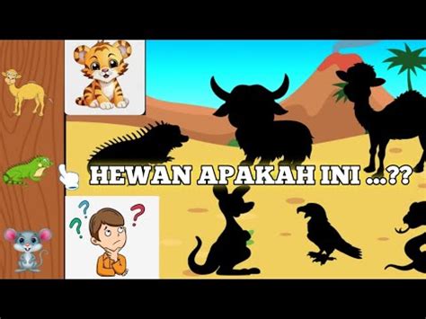 Belajar Mencocokkan Bayangan Hewan Video Edukasi Anak Indonesia YouTube